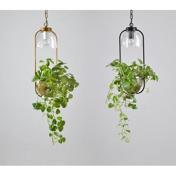 Water Plants Glass Pendant Light, Hanging Plant Light Fixture